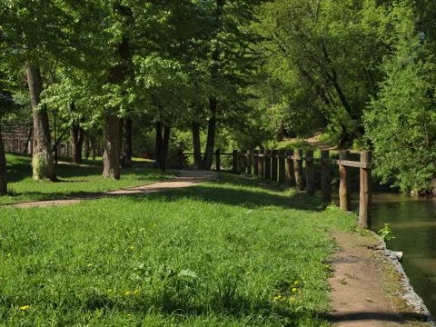 Old park with oak trees and a fence of logs on the river bank. Stock Photos
