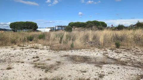 Old parking lot. Stock Footage 314229930