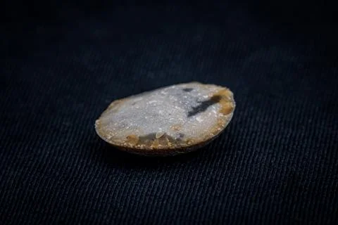 Old part of fire stone used to lit fire and hunt animals in stone age Stock Photos