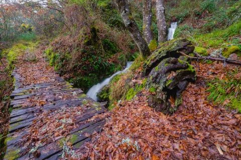 Old path beside the stream Stock Photos