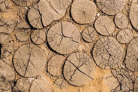The old path is laid out of round wooden sections. Background of wooden secti Stock Photos