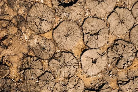 The old path is laid out of round wooden sections. Background of wooden secti Stock Photos