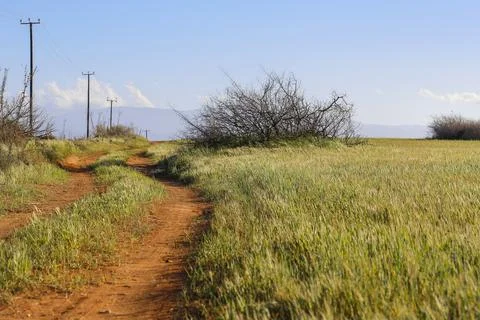 The old path with the meadow Stock Photos