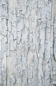 Old patterned wooden background in grey or light blue with flaked color. Stock Photos