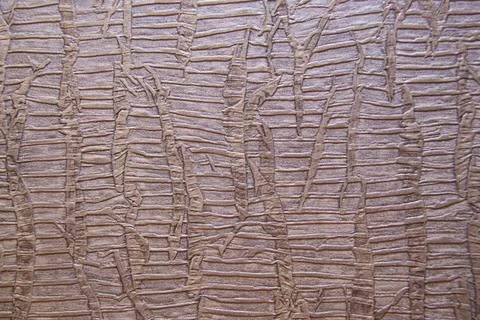 Old patterns on the wall. Old wallpaper. Home decoration. Stock Photos