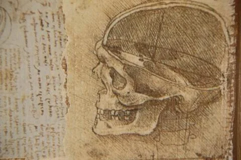 Old patterns on the wall. Old wallpaper. Home decoration. Stock Photos