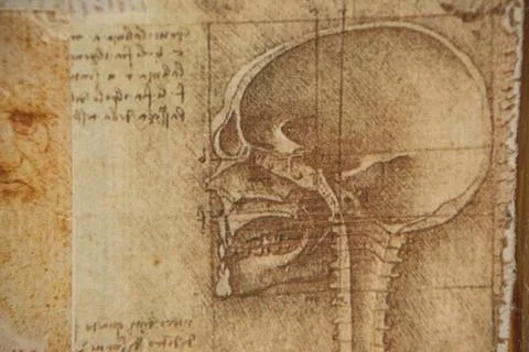 Old patterns on the wall. Old wallpaper. Home decoration. Stock Photos