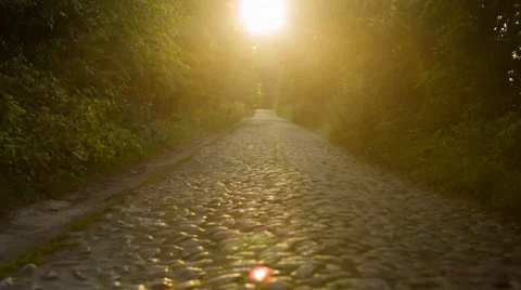 Old Paved Road in the Woods Stock Footage 67447208