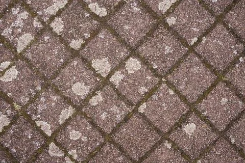 Old pavement with moss texture Stock Photos