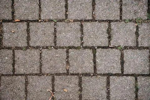 Old pavement with moss texture Stock Photos