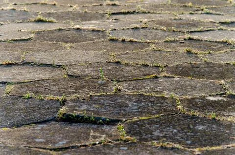 Old paving slabs covered with moss and grass. stone texture. close-up. backgr Fotos de archivo