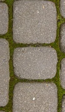 Old paving-stone. Stock Photos