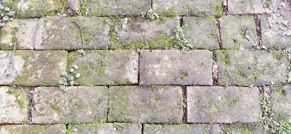 Old paving stones. Gray rectangular stones laid like tiles. Damp ancient path Stock Photos