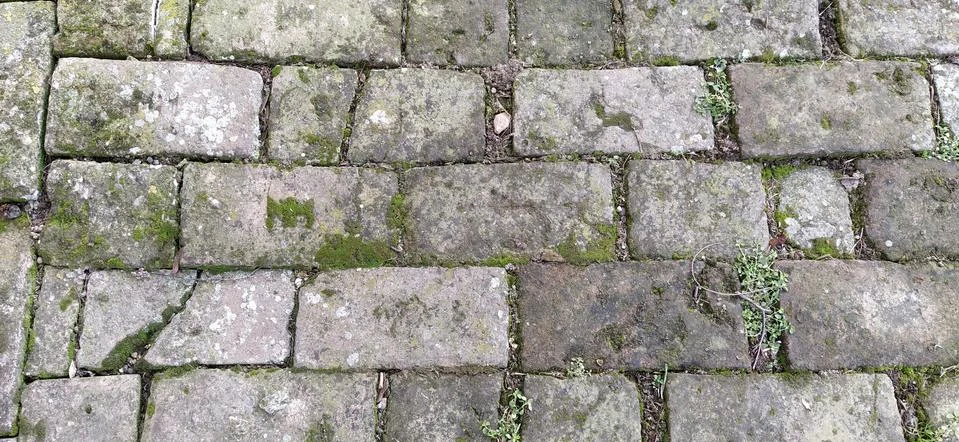 Old paving stones. Gray rectangular stones laid like tiles. Damp ancient path Stock Photos