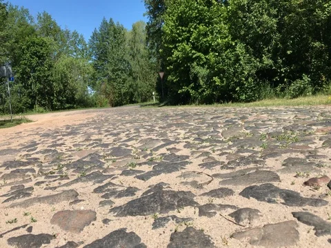 Old paving stones. Road in the middle of the forest Stock Footage
