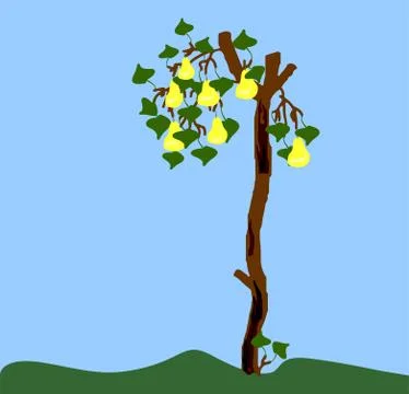 Old pear Stock Illustration