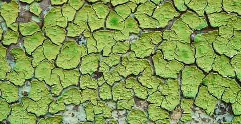 Old Peeling paint on wall Pattern rustic green grunge material Background Stock Photos