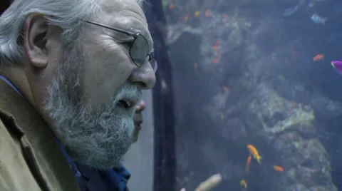 Old people spending time in front of aquarium and admiring fishes Video stock 36158613