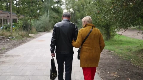Old people walking in the park back view. never retire from each other Stock Footage 162420559