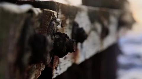 Old Pier Stock Footage 48388428