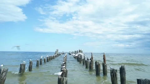 Old pier Stock Footage 138654252