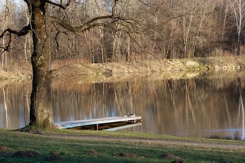 An old pier with a large oak tree on the lake at sunset. Stock Photos
