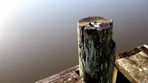 Old Pier post on a lake or river Video stock 52184465