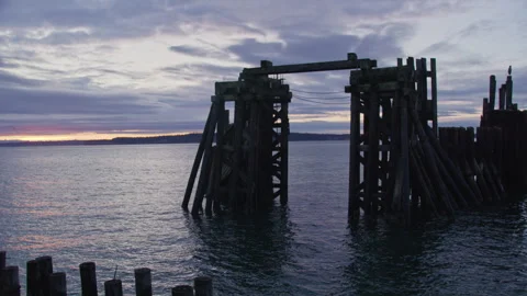 Old pier remnants stand while seabirds fly around at sunrise Stock Footage 263094075