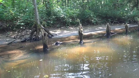 Old piles Stock Footage 91608261