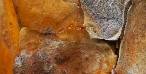 Old Pine Bark Background Stock Photos