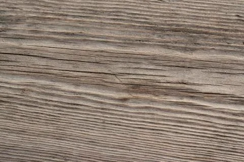 Old pine Stock Photos