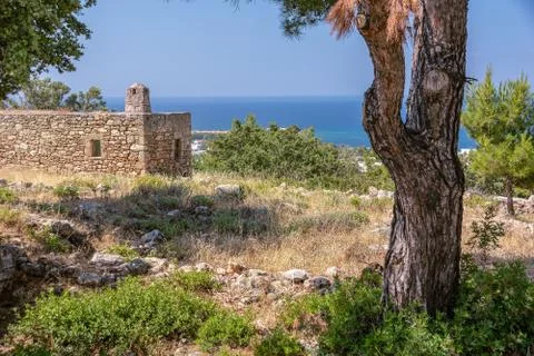 Old pine tree and ancient stone house in mountain. Summer day. Rhodes. Greece Foto stock