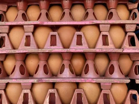 Old pink plastic egg tray filled with fresh chicken eggs Stock Photos