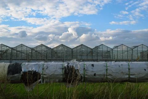Old pipe with broken winding and greenhouses under cloudy sky Foto stock