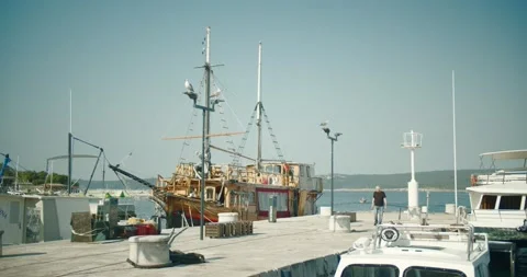 Old pirate ship on a dock two seagulls on a pole Vidéo 141745011