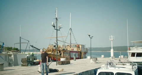 Old pirate ship on a dock two seagulls on a pole 2 Vidéo 141745147