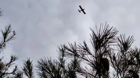 Old plane Stock Footage 149823716