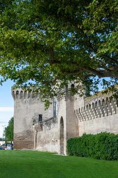 An old plane tree on the background of a medieval fortress wall . Medieval .. Stock Photos