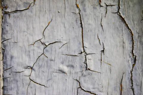 Old plank with peeling paint Stock Photos