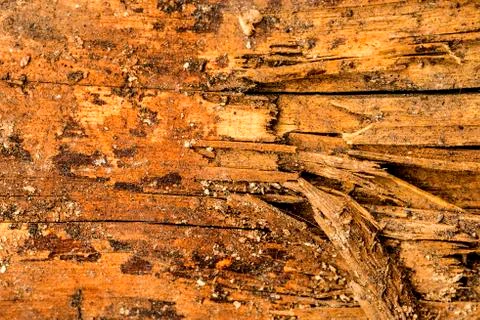 Old plank with texture Stock Photos