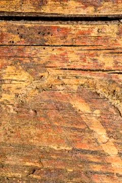 Old plank with texture Stock Photos
