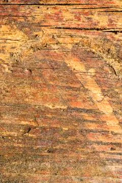 Old plank with texture Stock Photos