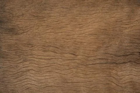 Old plank wood texture background. wood surface eroded as background Stock Photos
