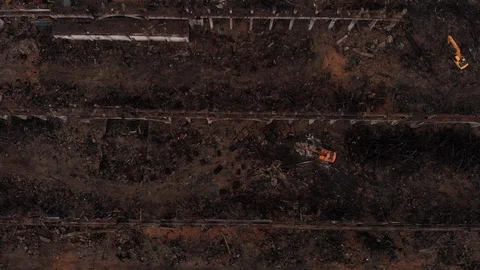 Old plant debris Stock Footage 107356694