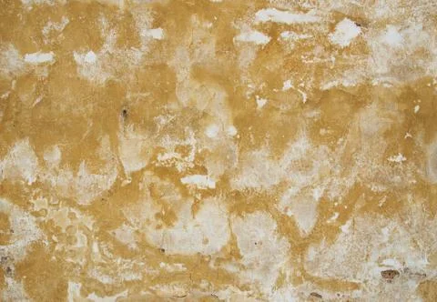 Old plaster Фото