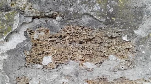 Old plaster. Texture of old plaster wall. Vintage background Stock Photos