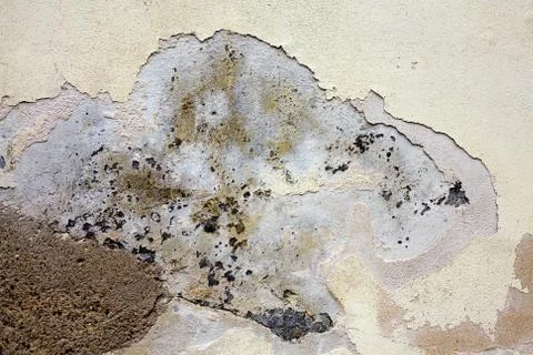 Old plaster wall Stock Photos