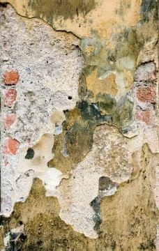 Old plaster wall Stock Photos