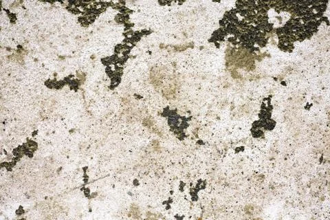 Old plaster wall Stock Photos