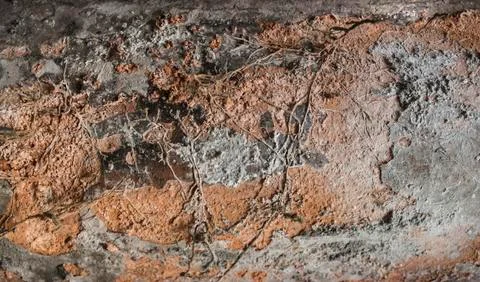 Old plaster wall Foto stock